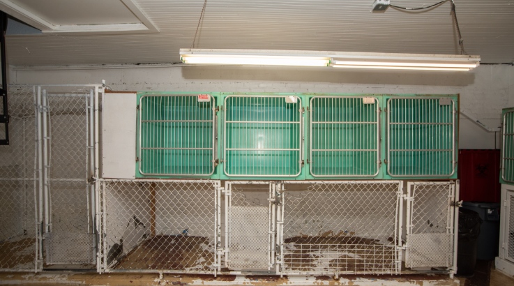 a caged kennels in a room