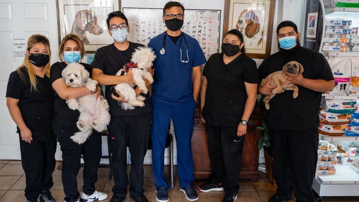 a group of Veterinarians